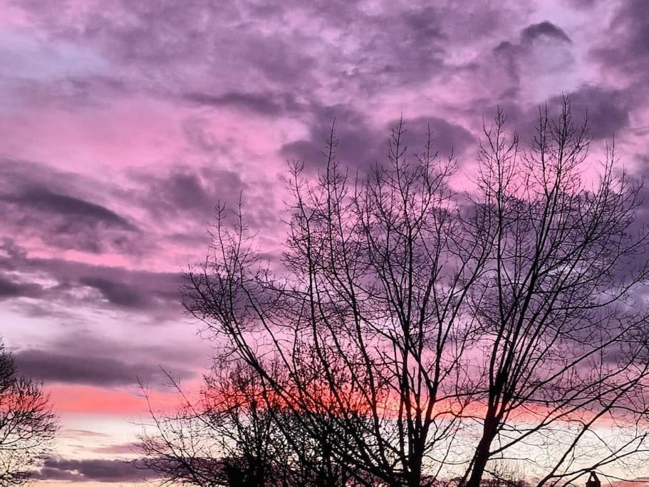 Gite Aux Bois D'En Temps Lunas  Exterior foto